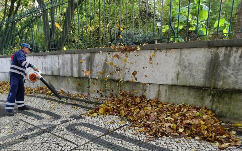 Intervenção especial de limpeza nas ruas da freguesia