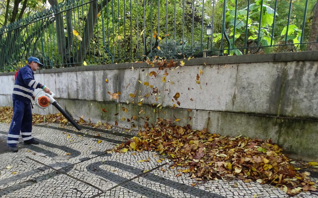 Intervenção especial de limpeza nas ruas da freguesia