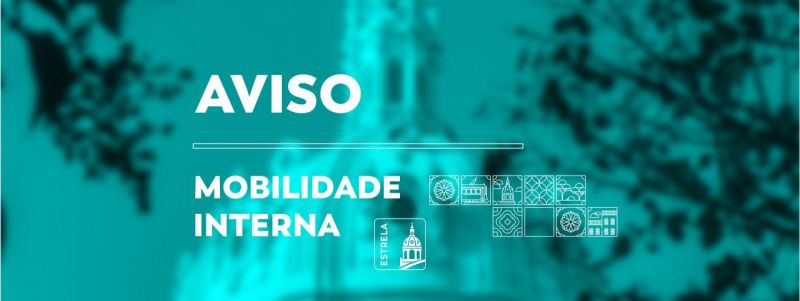 Mobilidade Interna