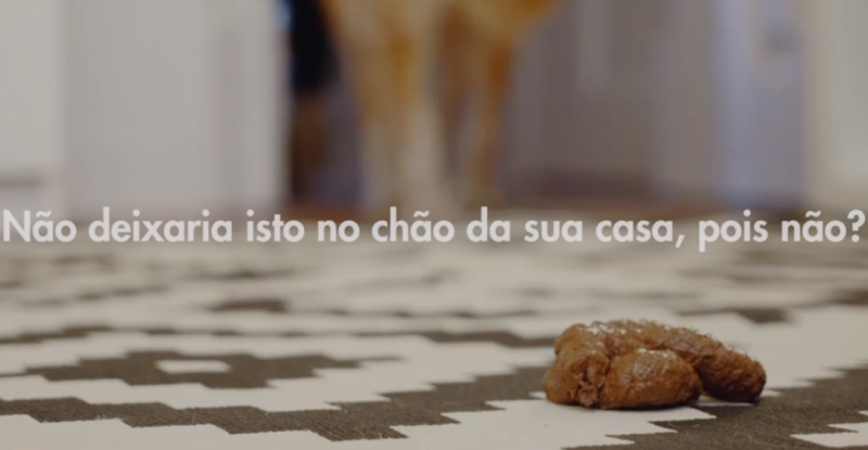 Registe e apanhe os dejetos do seu animal – a rua é a casa de todos