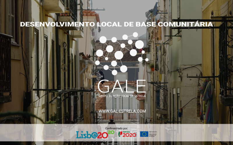 Desenvolvimento Local de Base Comunitária