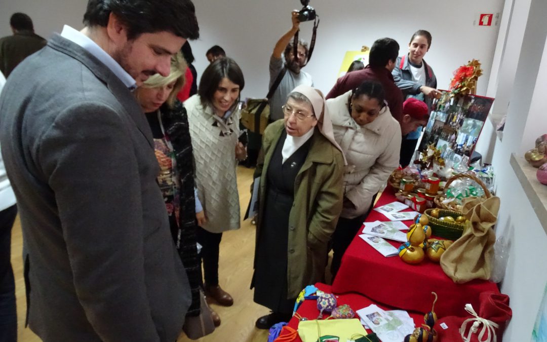 “Estrelas de Natal” iluminam a sala de exposições da Academia Estrela