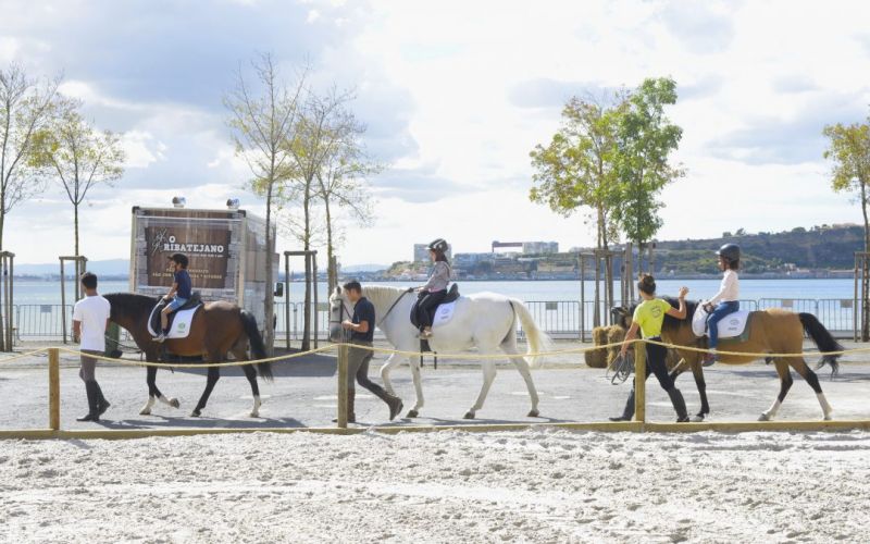 1ªFeira do Cavalo de Lisboa proporciona Inesquecíveis Batismos a Cavalo