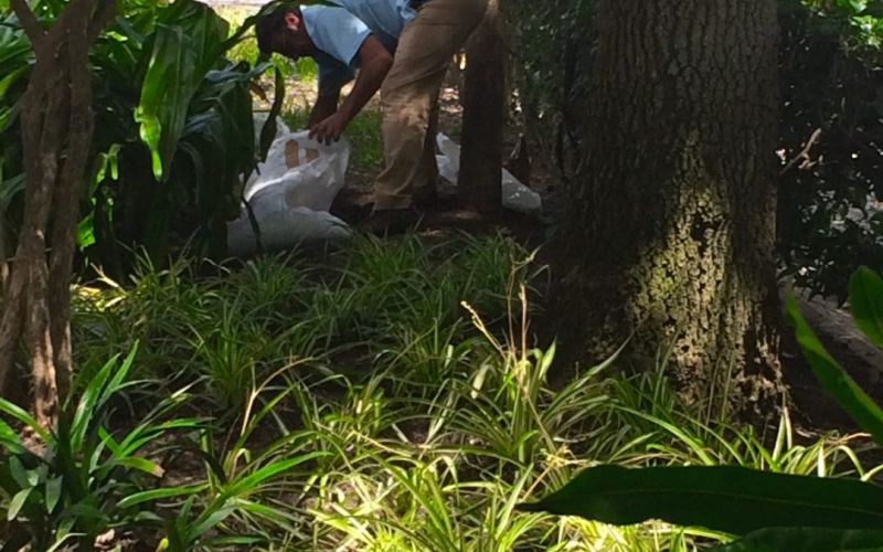 Jardins da Freguesia Vandalizados