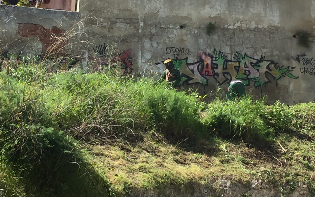 Limpeza no Logradouro da Avenida Infante Santo