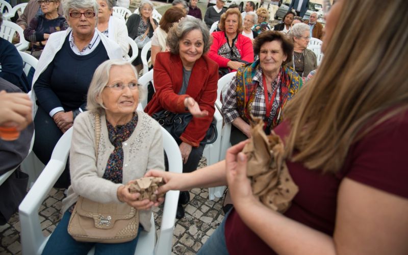 Cultura com sabor a castanhas