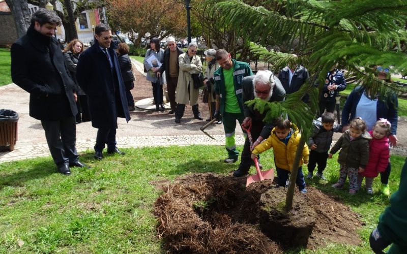 Jardim 9 de Abril recebe árvore da iniciativa “100 anos 100 árvores”