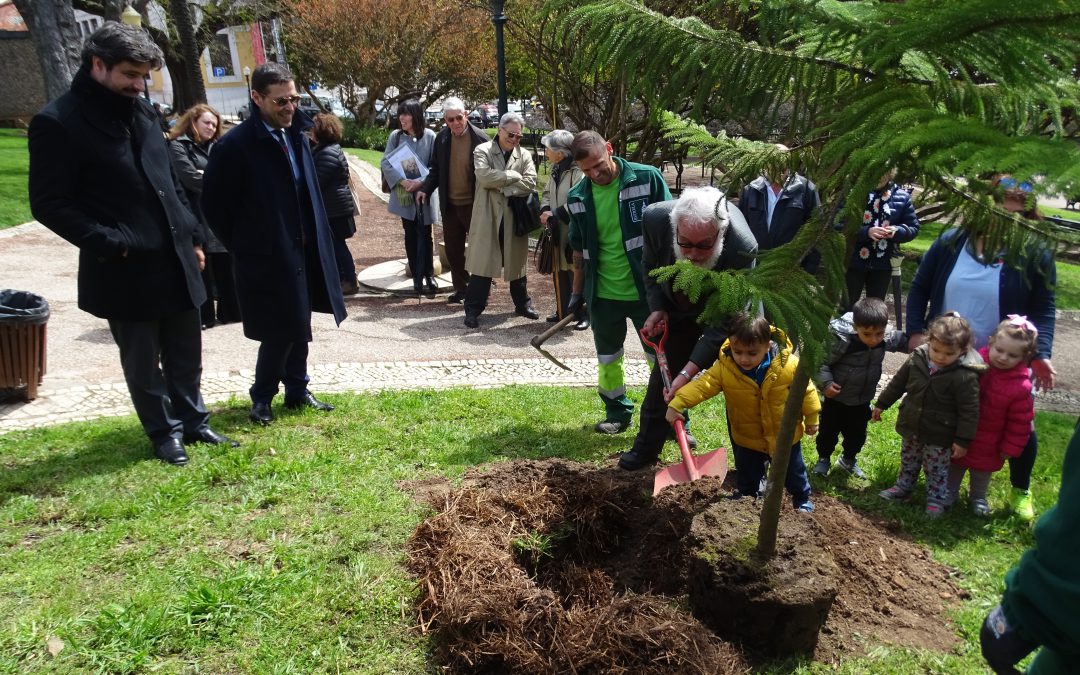 Jardim 9 de Abril recebe árvore da iniciativa “100 anos 100 árvores”