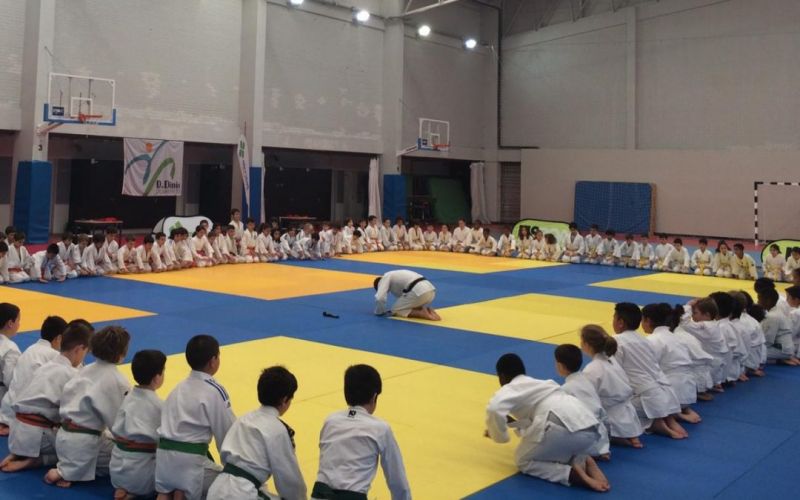 Estrela representada nas Olisipíadas em Ginástica e Judo
