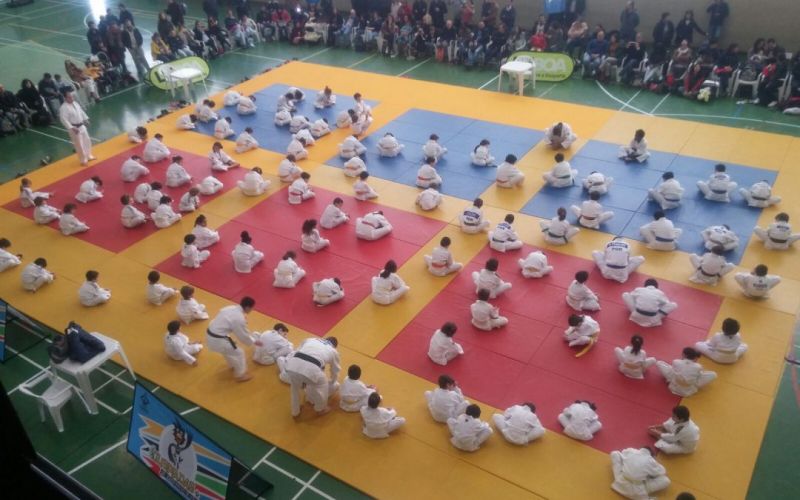 Olisipíadas – A arte do Judo