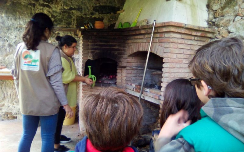Visita de estudo à Quinta Pedagógica Armando Villar
