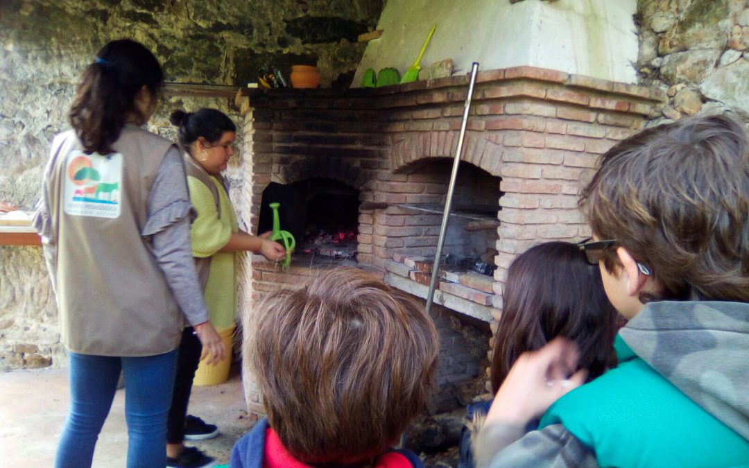 Visita de estudo à Quinta Pedagógica Armando Villar