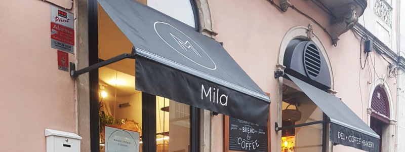 Mercearia da Mila distribui pão a seniores da Estrela