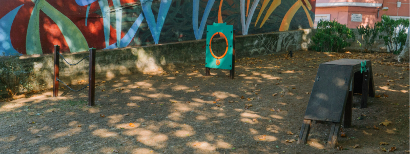 Novo parque canino na Rua Domingos Sequeira