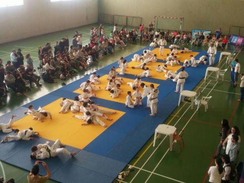 As Estrelas das Olisipíadas