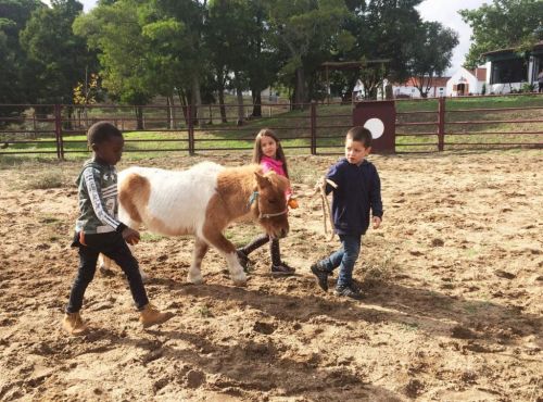 Projeto de Apoio ao Estudo da Possidónio foi em família ao campo