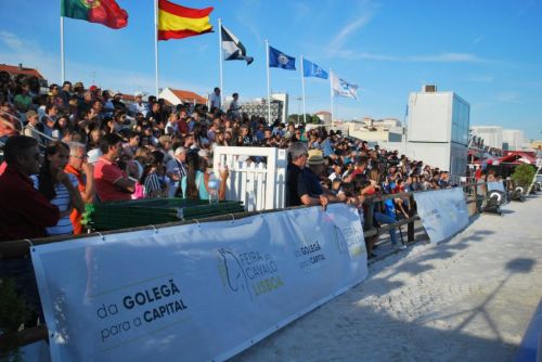1ªFeira do Cavalo de Lisboa recebe mais de 7mil visitantes