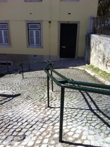 Início das Podas no Jardim Olavo Bilac