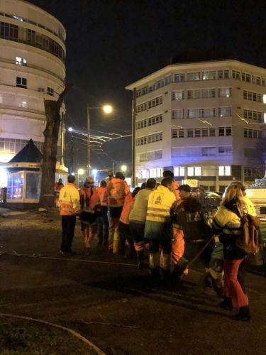Queda de árvore na Praça São João Bosco