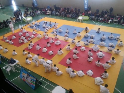 Olisipíadas – A arte do Judo