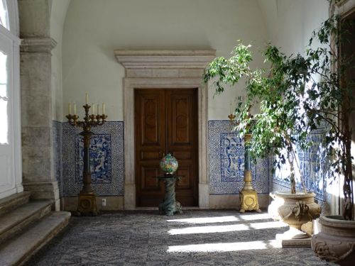 À Descoberta da Estrela – Visita à Embaixada Francesa