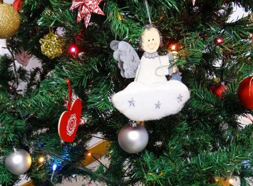 “Estrelas de Natal” | As IPSS da Estrela